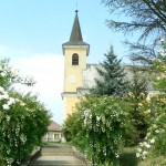 Templom tavaszi virágkoszorúban